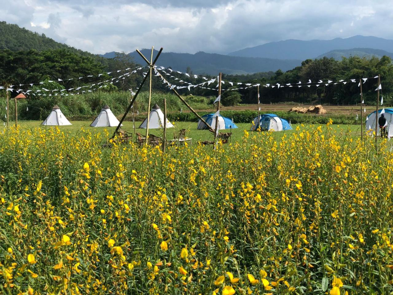 Mazipai Camping Villa Dış mekan fotoğraf